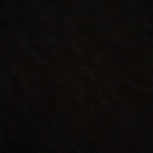 Meet your Posher, Ella